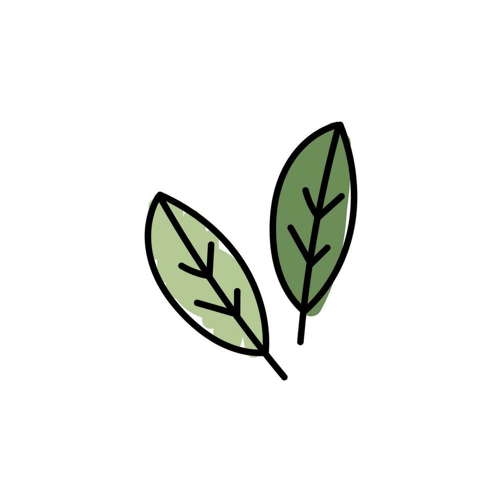 Vector illustration of leaves with outline. Hand drawn leaf logo symbol.