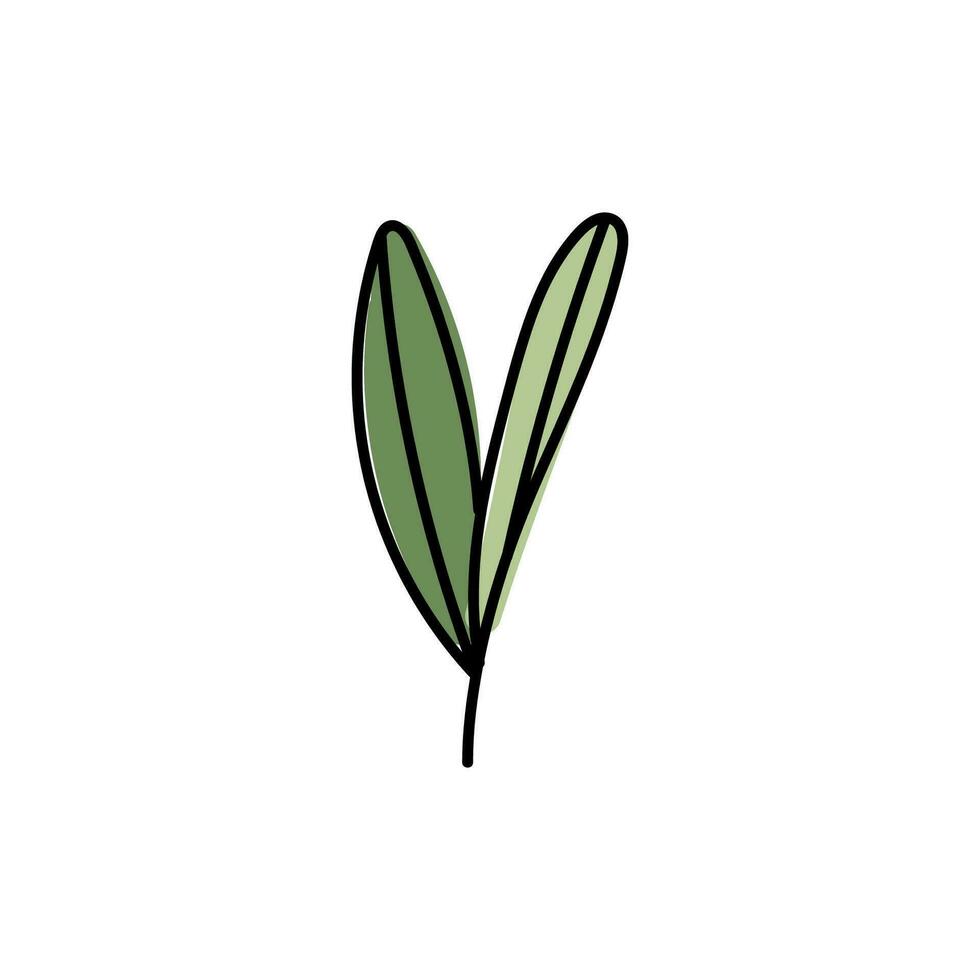 Vector illustration of leaves with outline. Hand drawn leaf logo symbol.