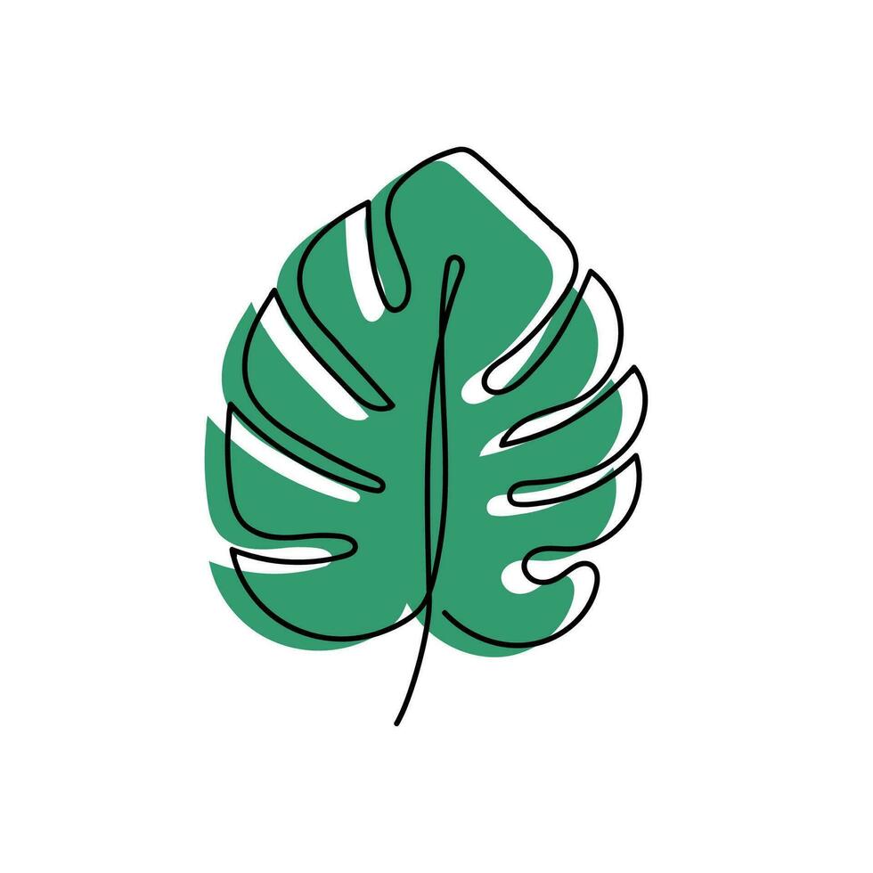 Hand drawn monstera leaf with outline concept. Vector illustration