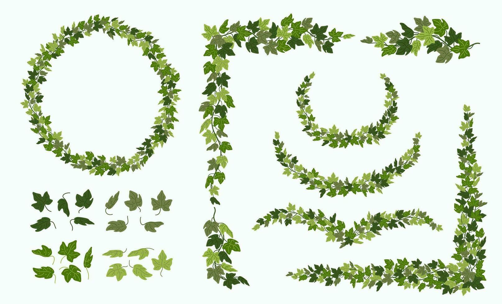 Ivy vector vines and wreaths, and decorative elements made of green leaves, isolated on white background. Vector illustration in flat cartoon style