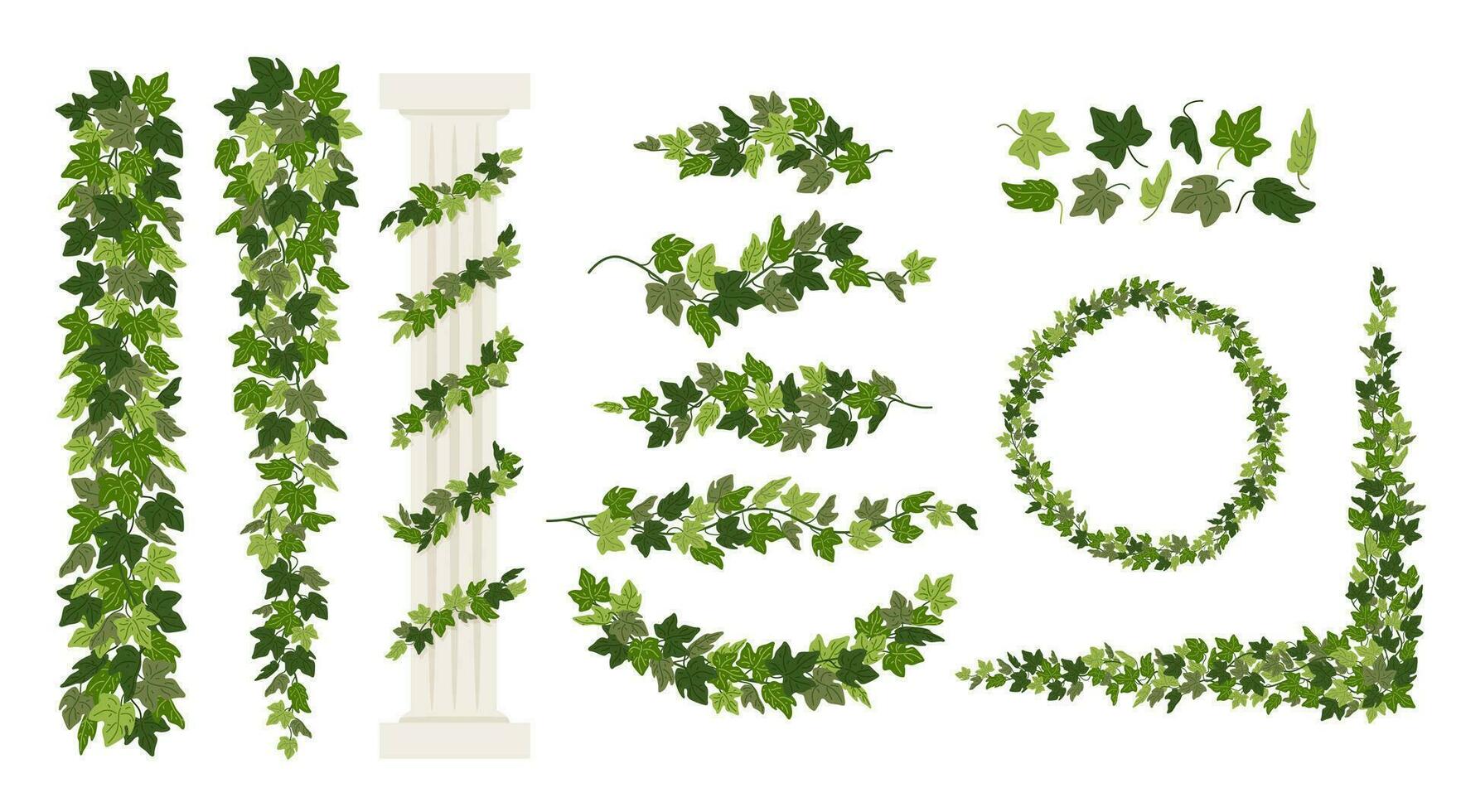 Ivy vines and wreaths, and a greek antique column entwined with ivy, elements isolated on white background. Vector illustration in flat cartoon style.