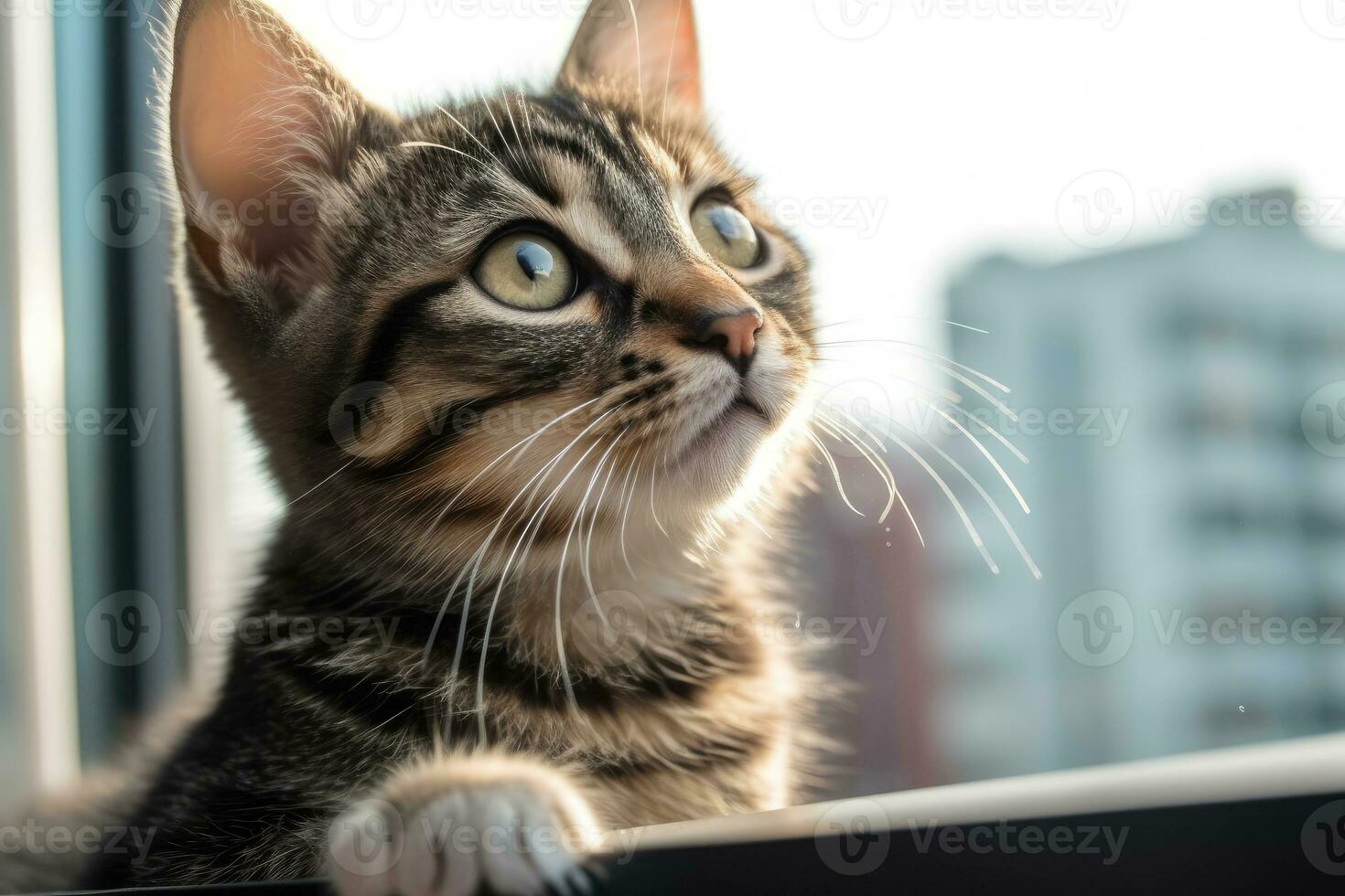 estilo de vida chica - un curioso gatito en suave atención urbano ajuste - ai generado foto