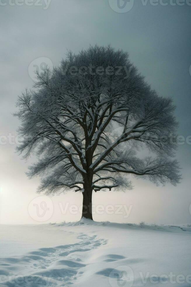 Tress wallpaper downlaod ,Ai generated photo