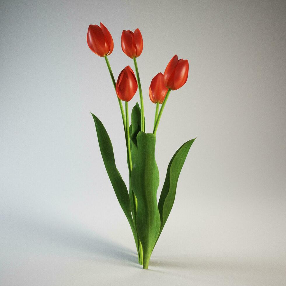 Red tulips and fresh green leaves. photo