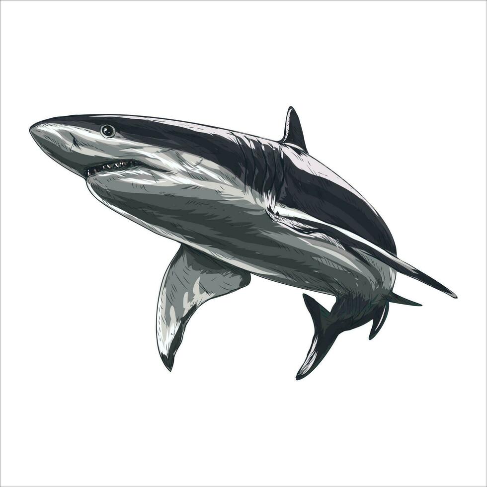 Shark hand-drawn vintage sketch design vector