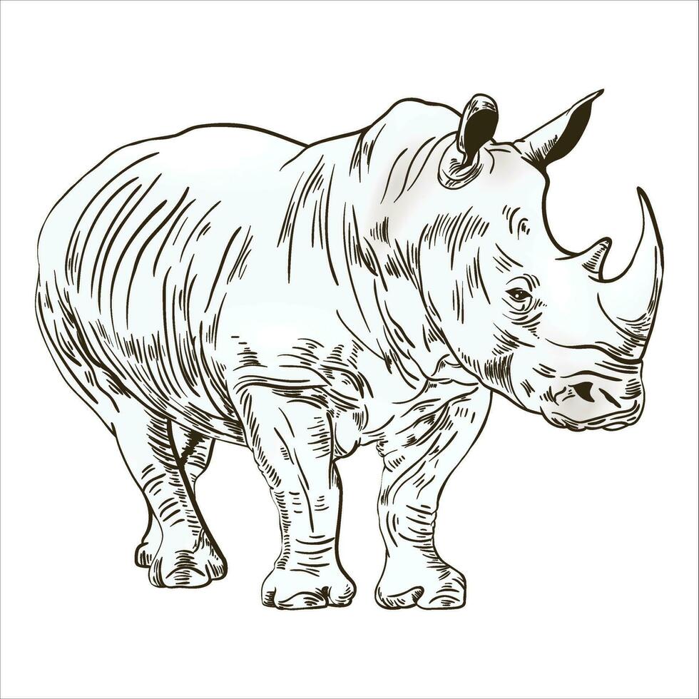 African rhinoceros wild animal on white background engraved hand drawn art vintage old monochrome vector