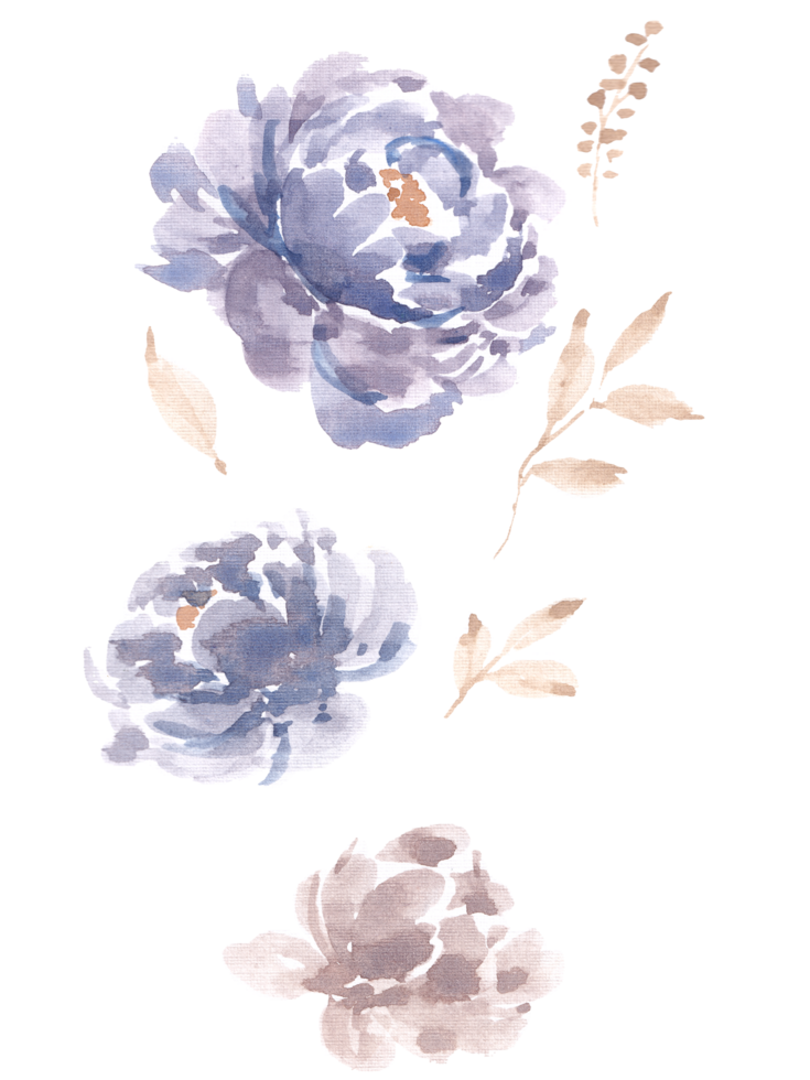 Hand Painted Blue Peony Watercolor Flower png