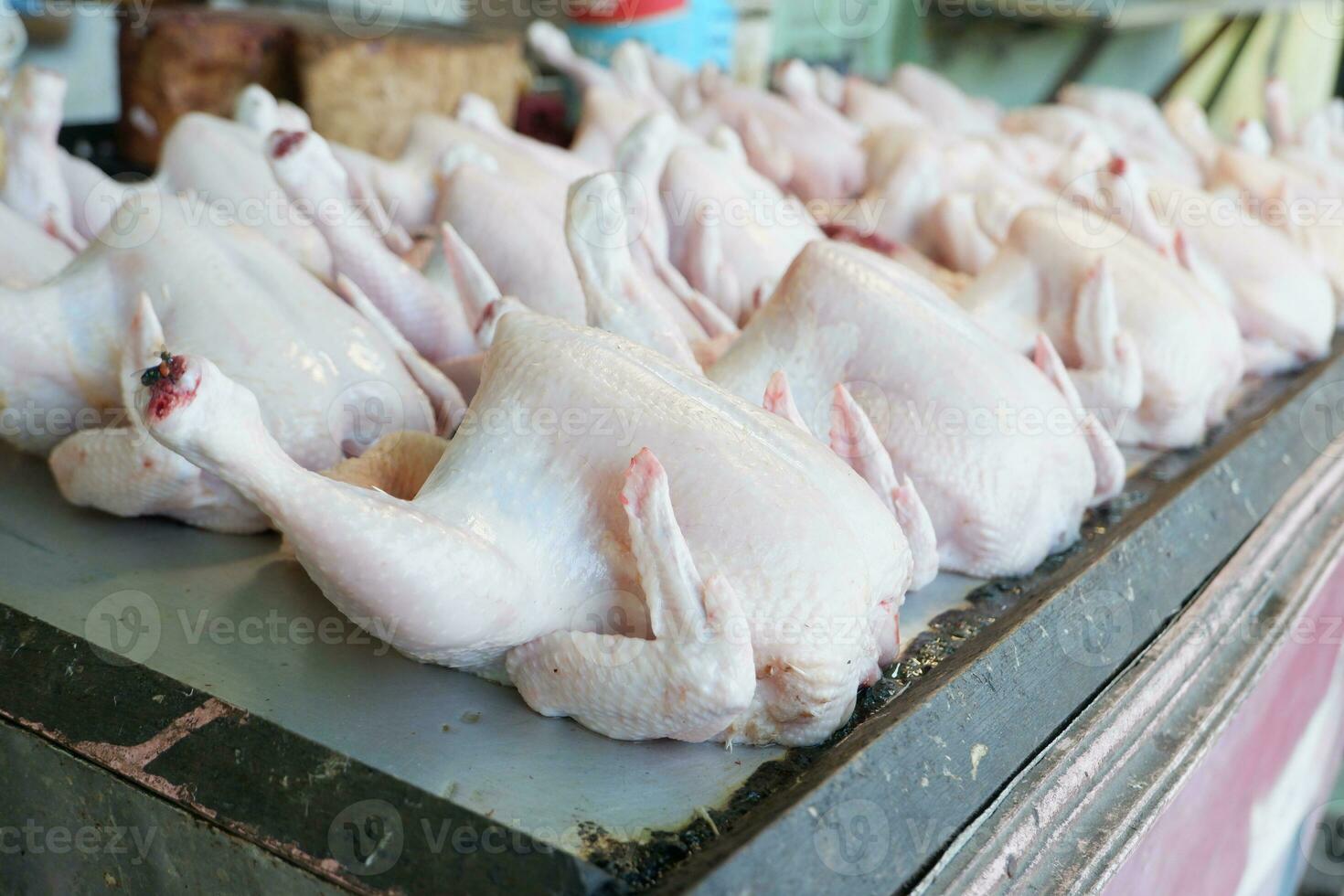 fresh broiler chickens or purebred chickens without feathers are sold in the market photo