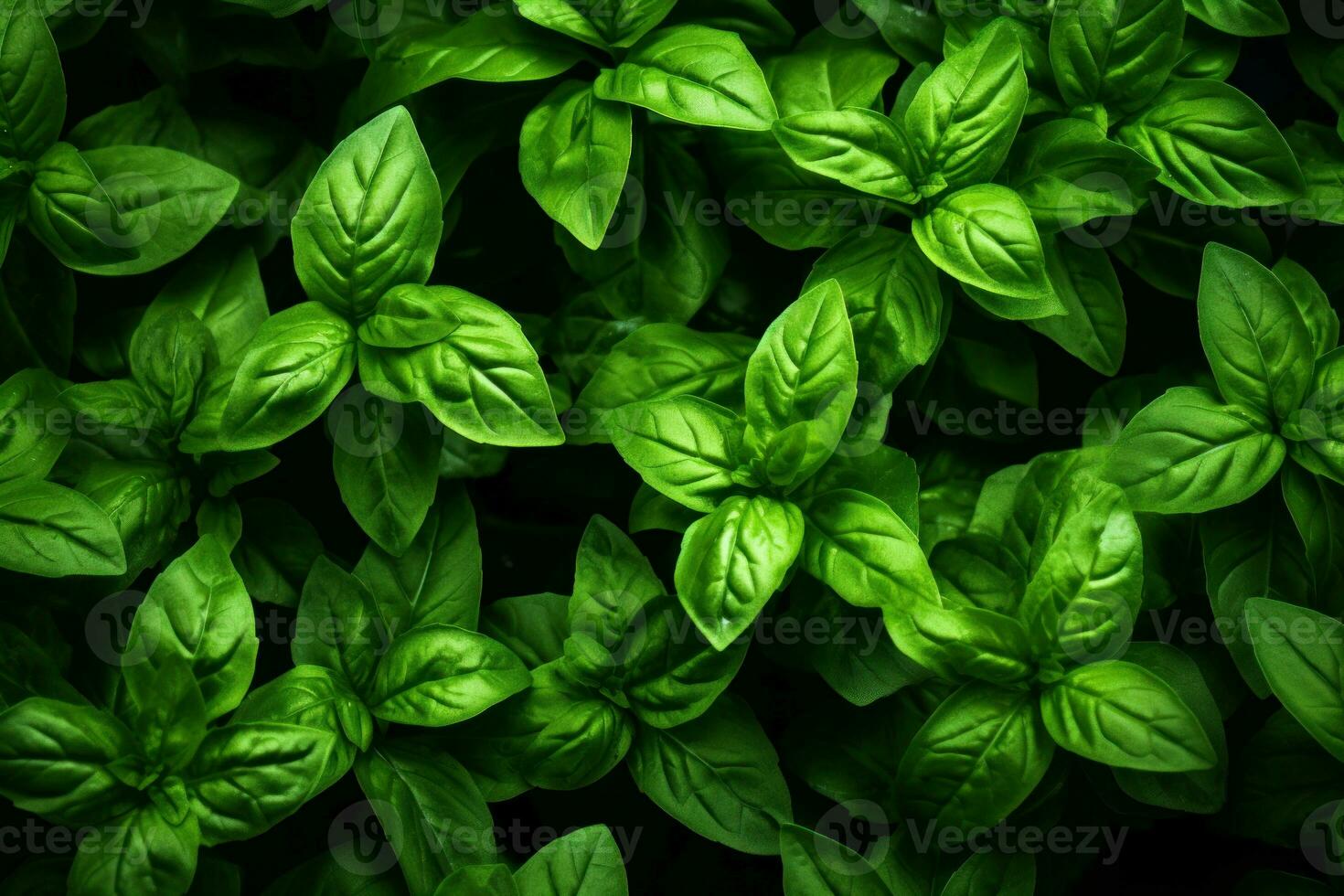 Fragrant Basil leaves background. Generate Ai photo