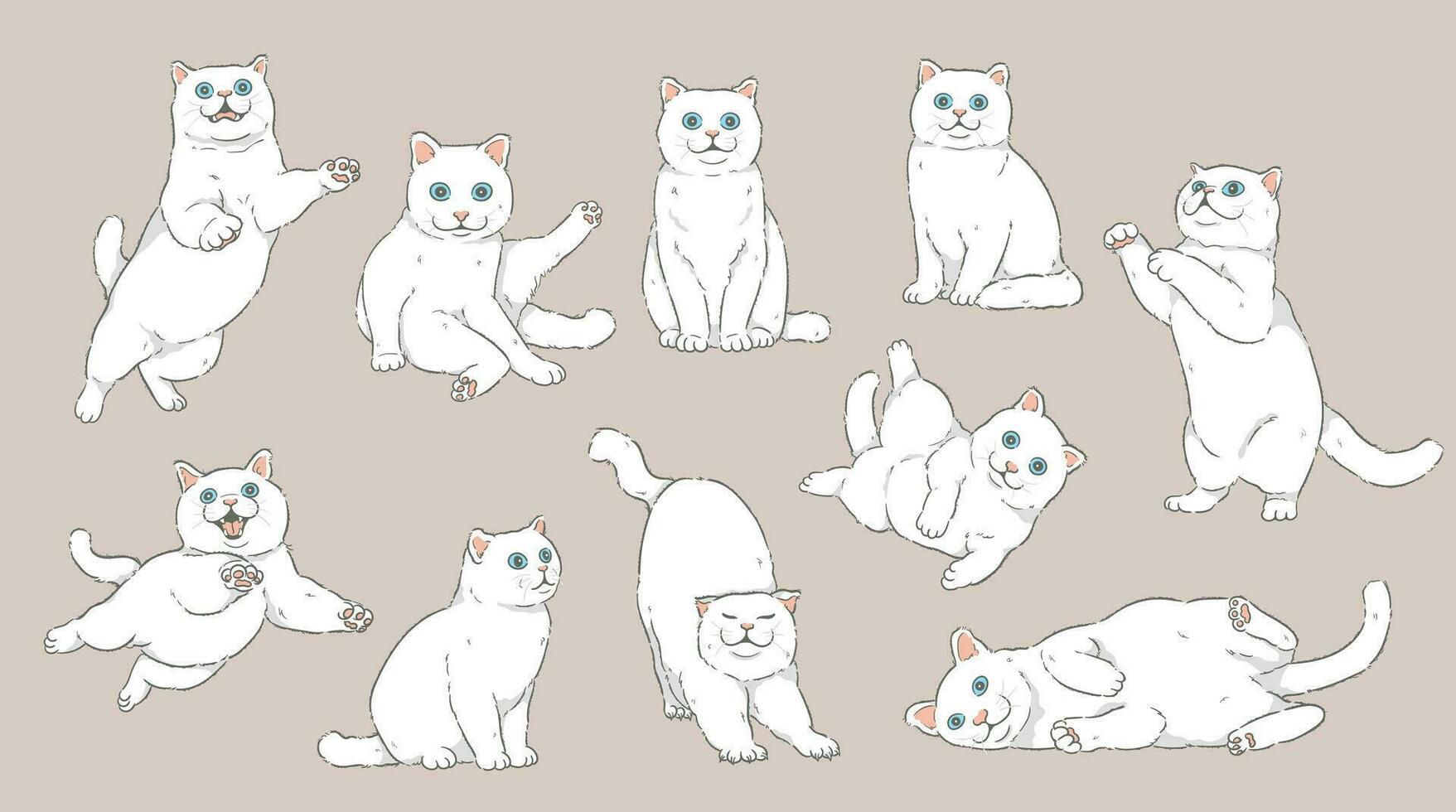 Cute Cartoon white Cat set vector