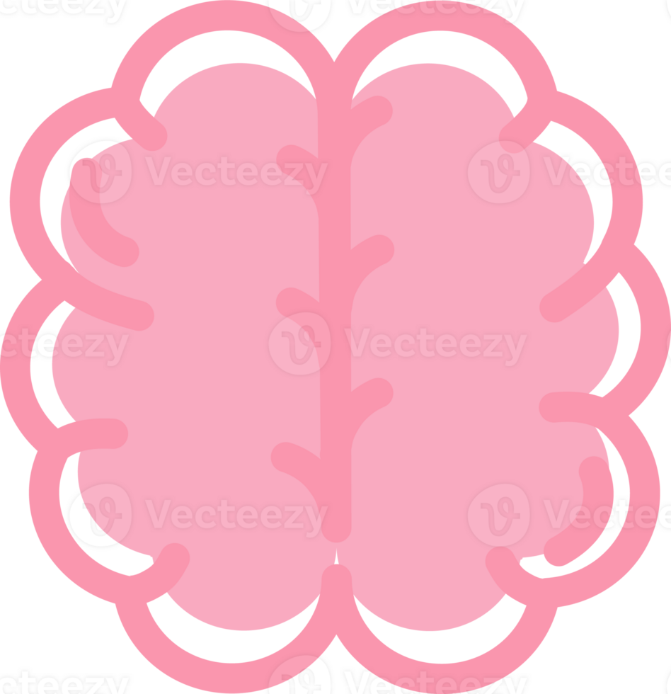 Vital organ. Human heart organ. Illustration png, transparency. png