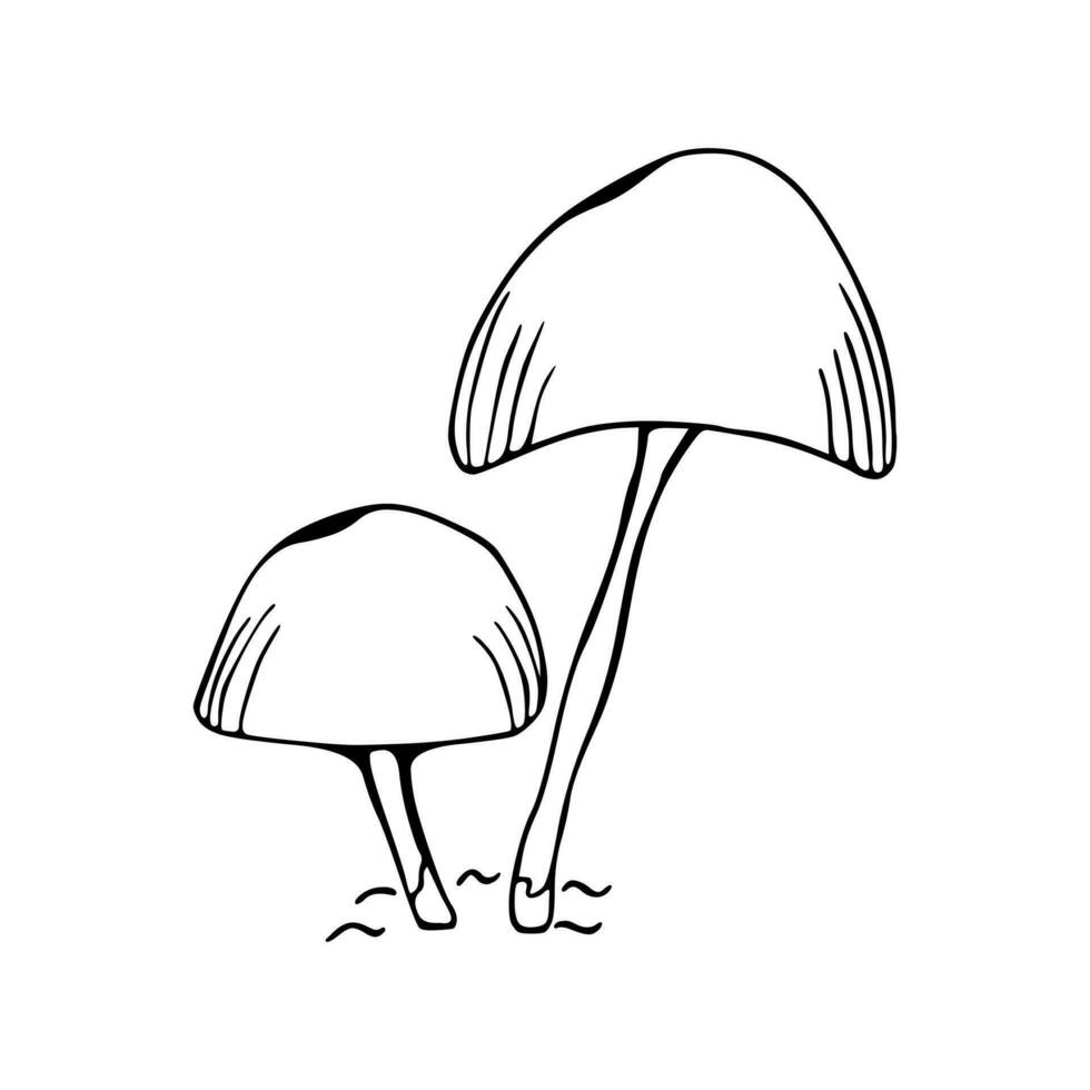 Illustration of the mushroom family. Poisonous mushroom, toadstool. Doodle. Hand drawn. Vector isolated on white background.