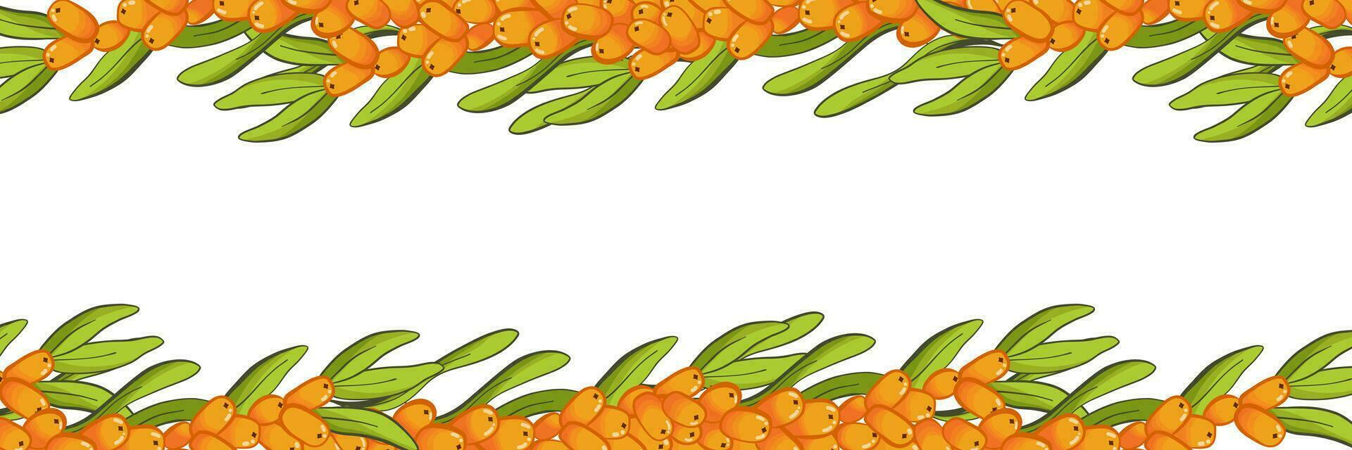 Banner template with  sea buckthorn branches, frame border background, vector on white background. For different design,