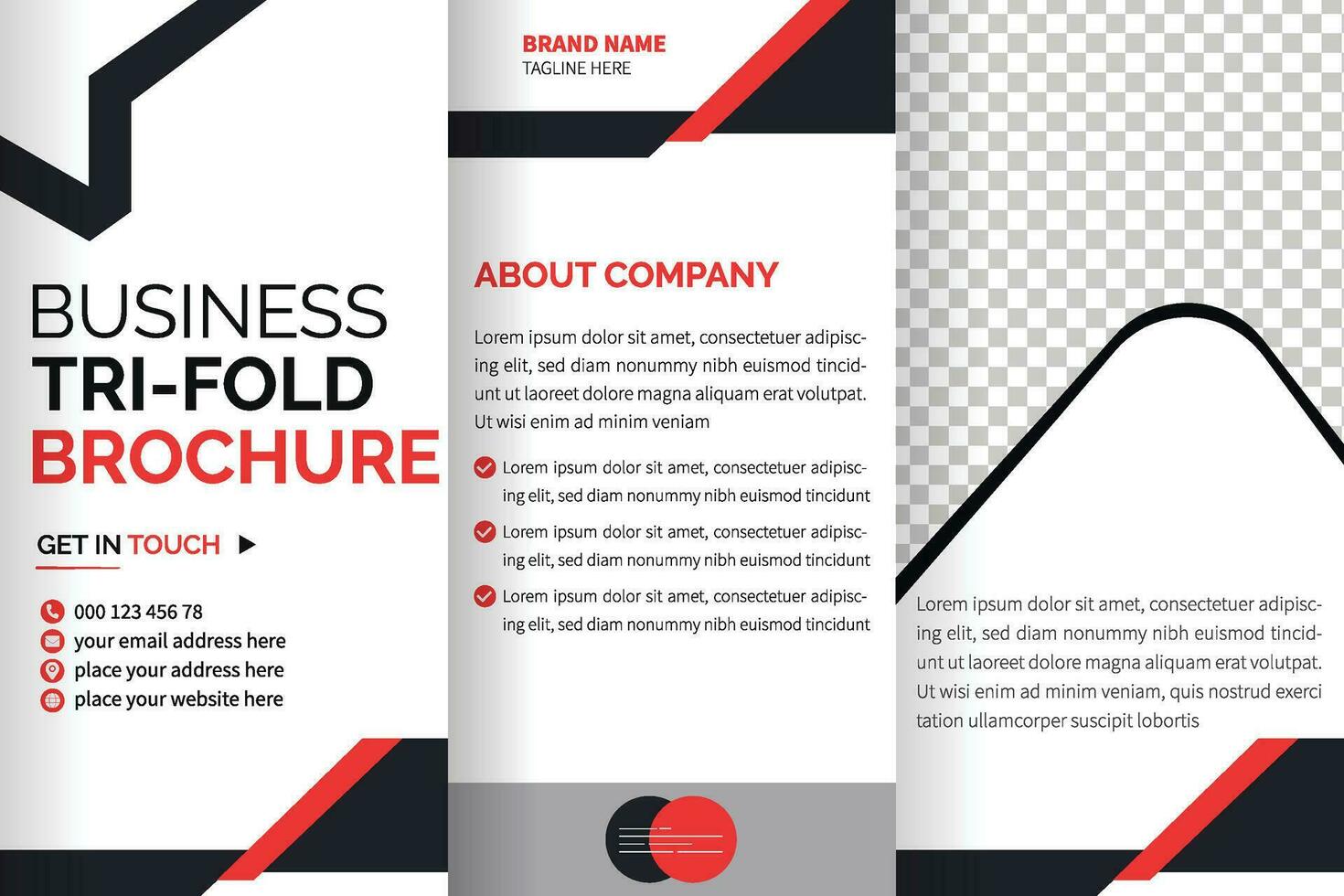 tri fold brochure design with space vector