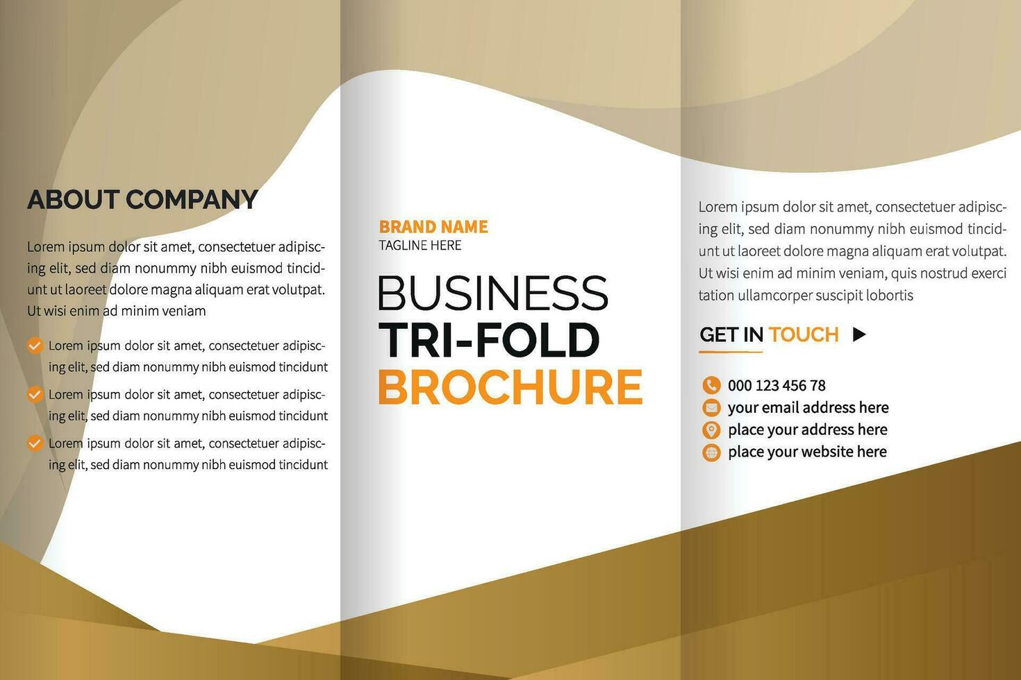 tri fold brochure design with space vector
