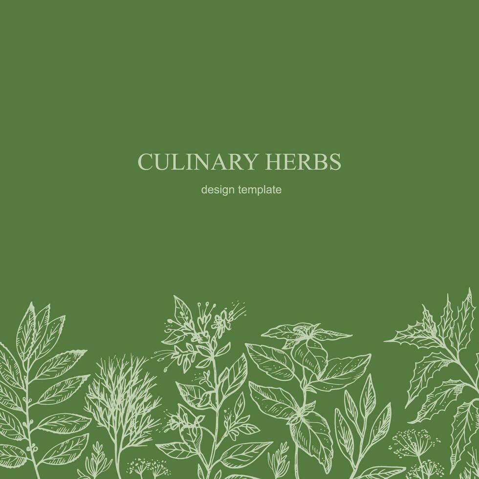 Cooking Herbs card template background for text hand drawn sketch vector illustration. Design backdrop with aromatic culinary herbs, dill, sage, bay leaf, mint, rosemary, basil, oregano