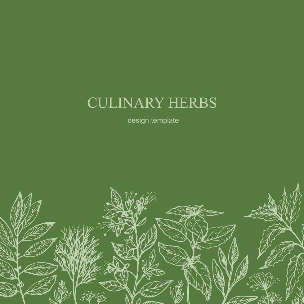 Cooking Herbs card template background for text hand drawn sketch vector illustration. Design backdrop with aromatic culinary herbs, dill, sage, bay leaf, mint, rosemary, basil, oregano