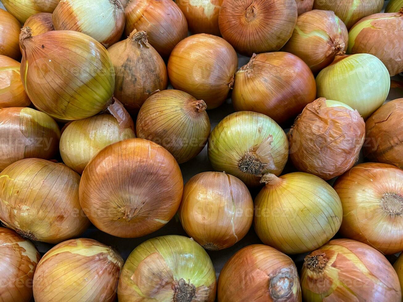 Group of Cooking Ingredient Called Big Onion or Bawang Bombay or Onion bulb or onion photo