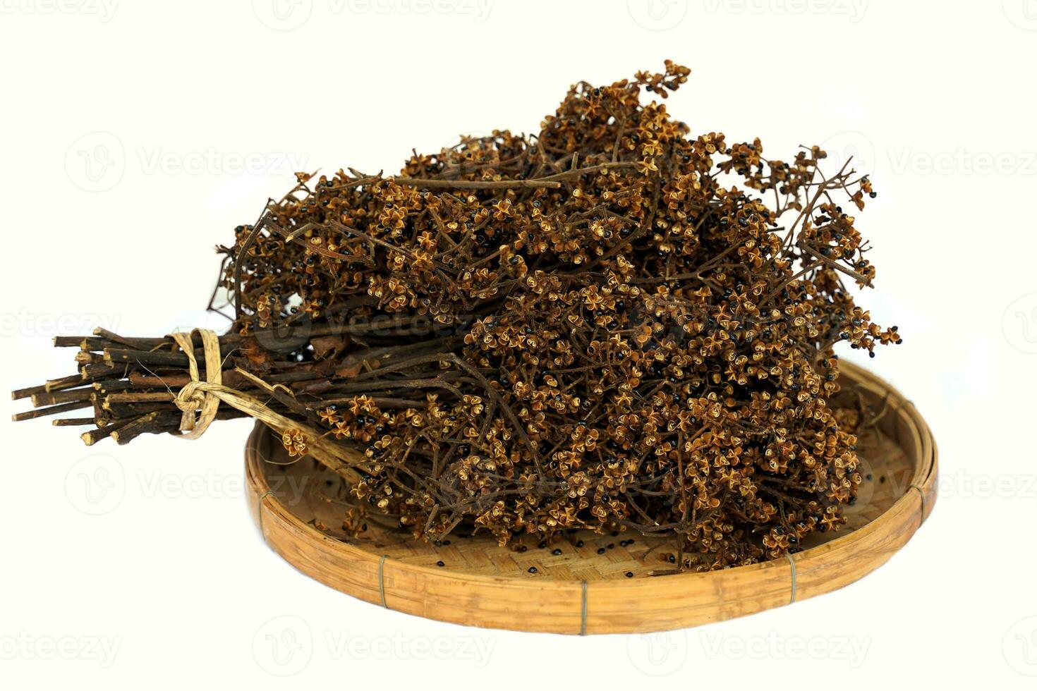 Dried seeds of Zanthoxylum are herbal plants used for cooking with a strong aroma. The hot and spicy flavor helps eliminate the fishy smell. and enhance the taste of food. photo