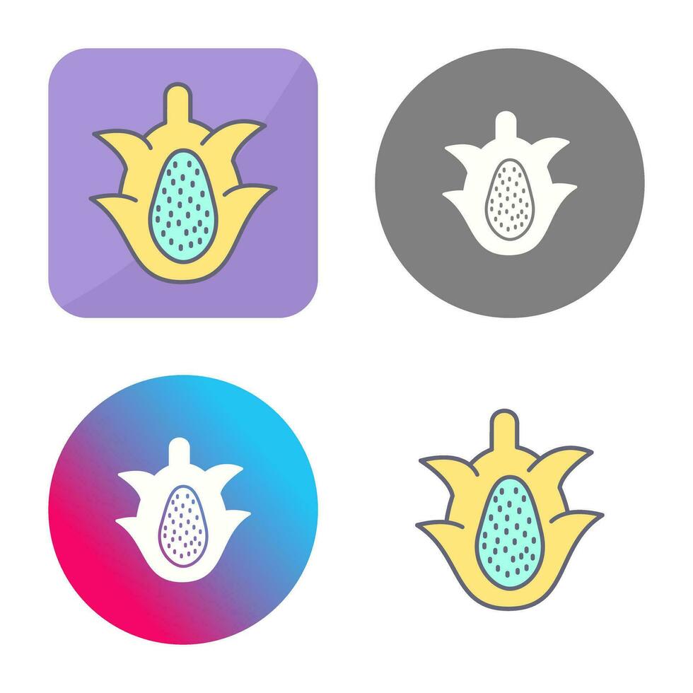 Dragon Fruit Vector Icon