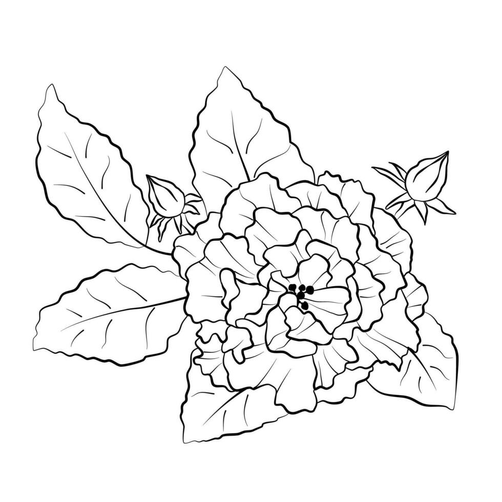 Hibiscus Floral Line Art vector