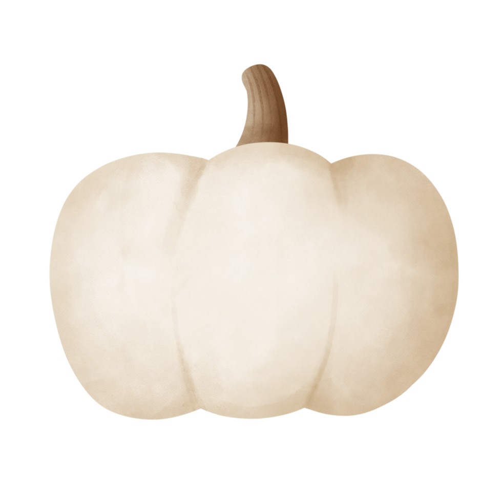 cartoon drawing of white pumpkin png