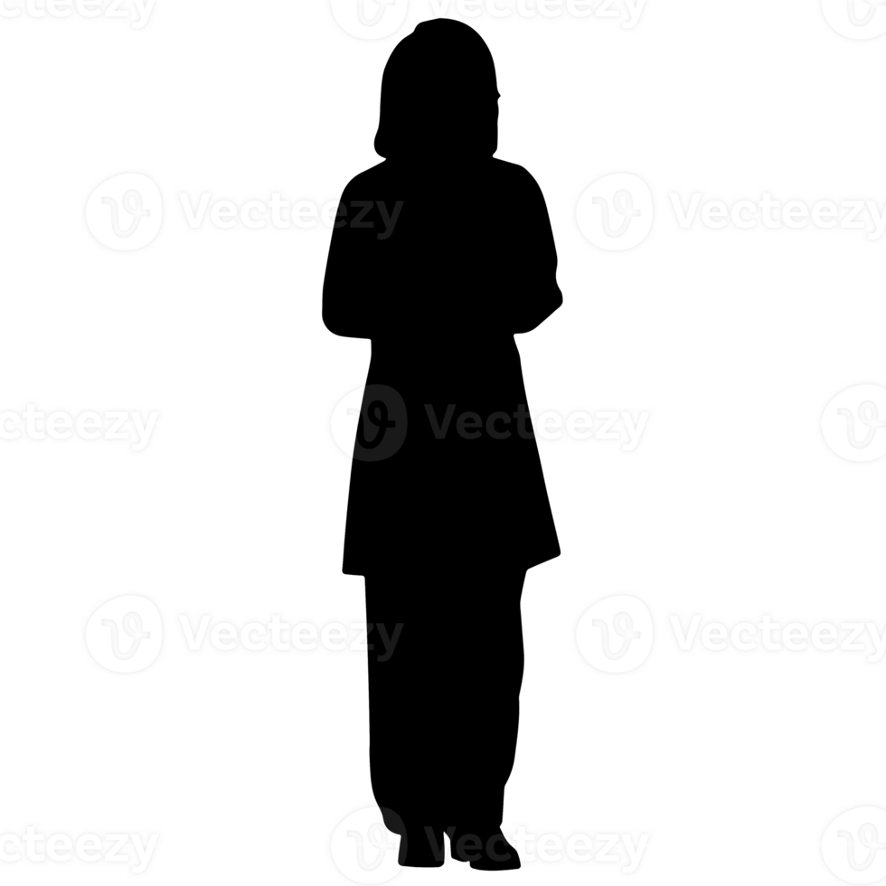 pessoas silhueta overlay. forma e formas. gráfico recurso e pano de fundo. png