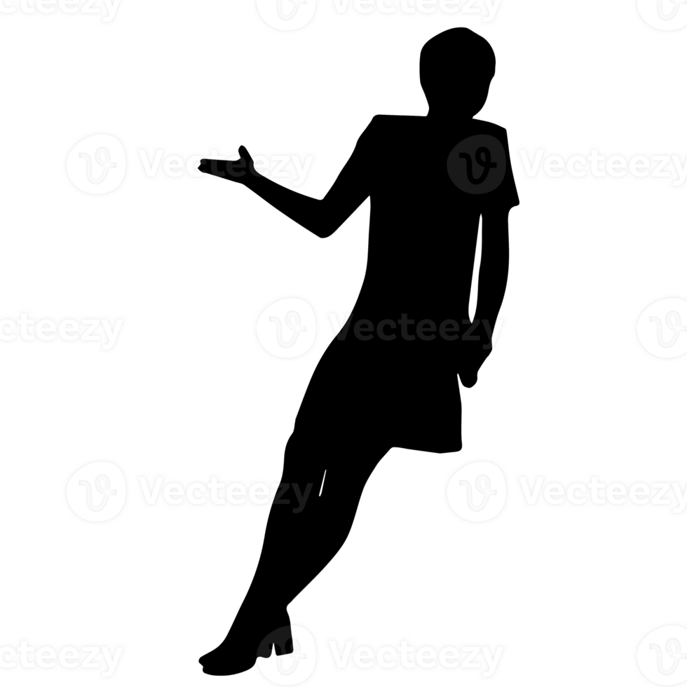 pessoas silhueta overlay. forma e formas. gráfico recurso e pano de fundo. png