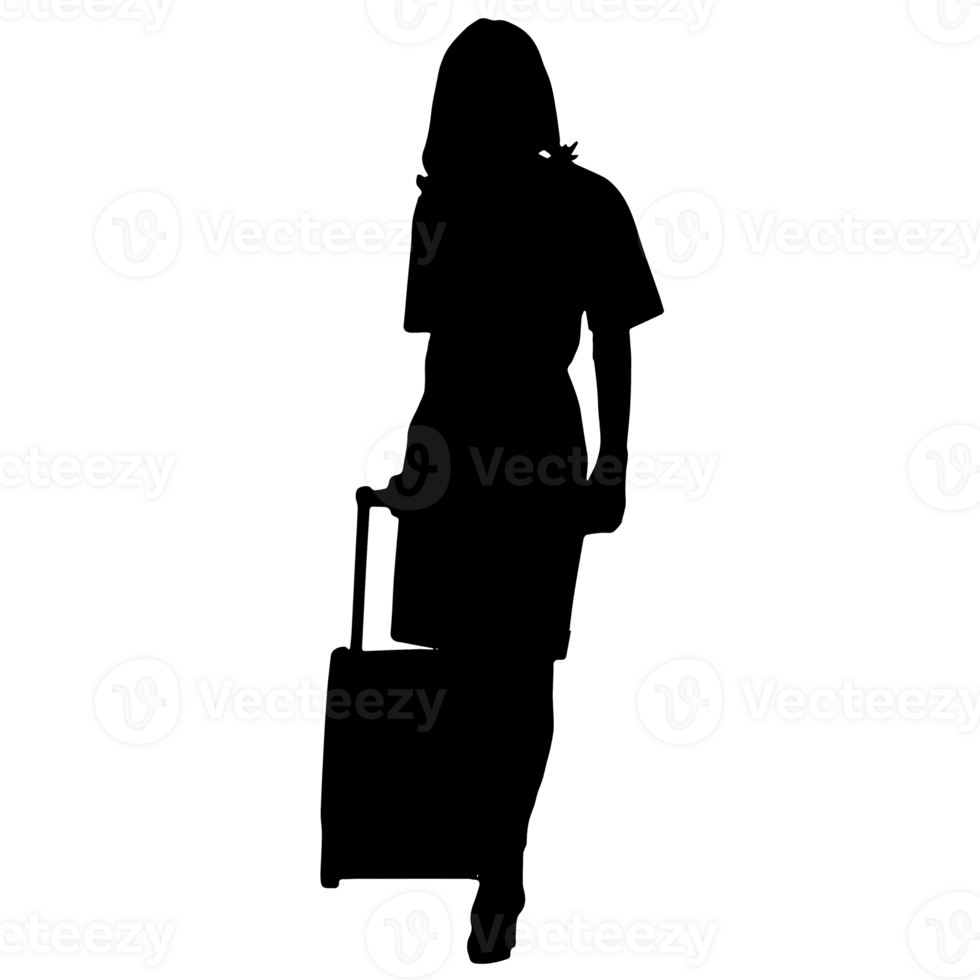 pessoas silhueta overlay. forma e formas. gráfico recurso e pano de fundo. png