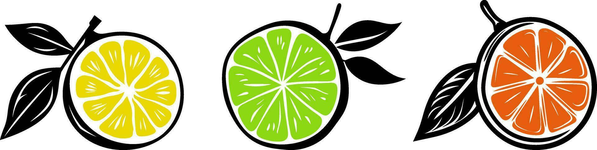 Citrus Vector Icons   Set of Fruit Symbols for Graphic Design