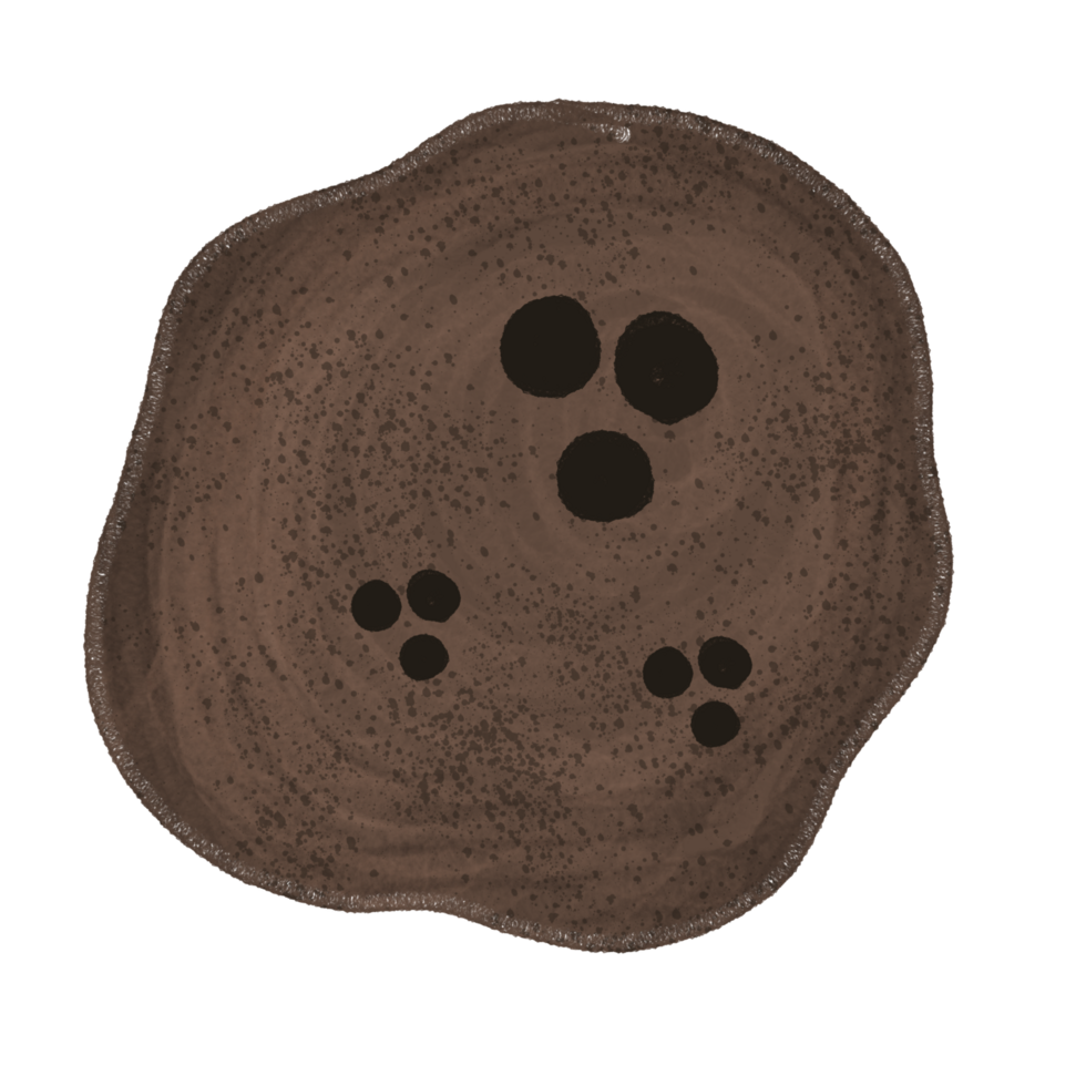 a brown cookie with black spots on it png