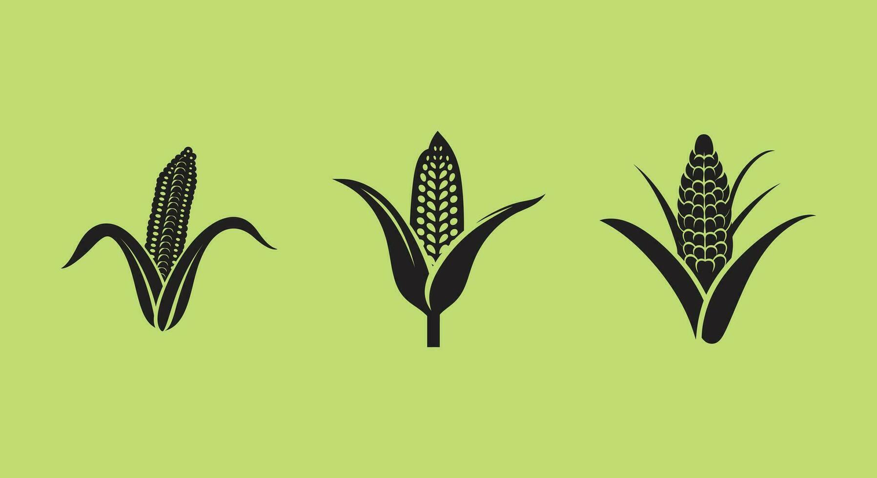 Cornucopia of Corn   Vector Elements for Autumn themed Artwork