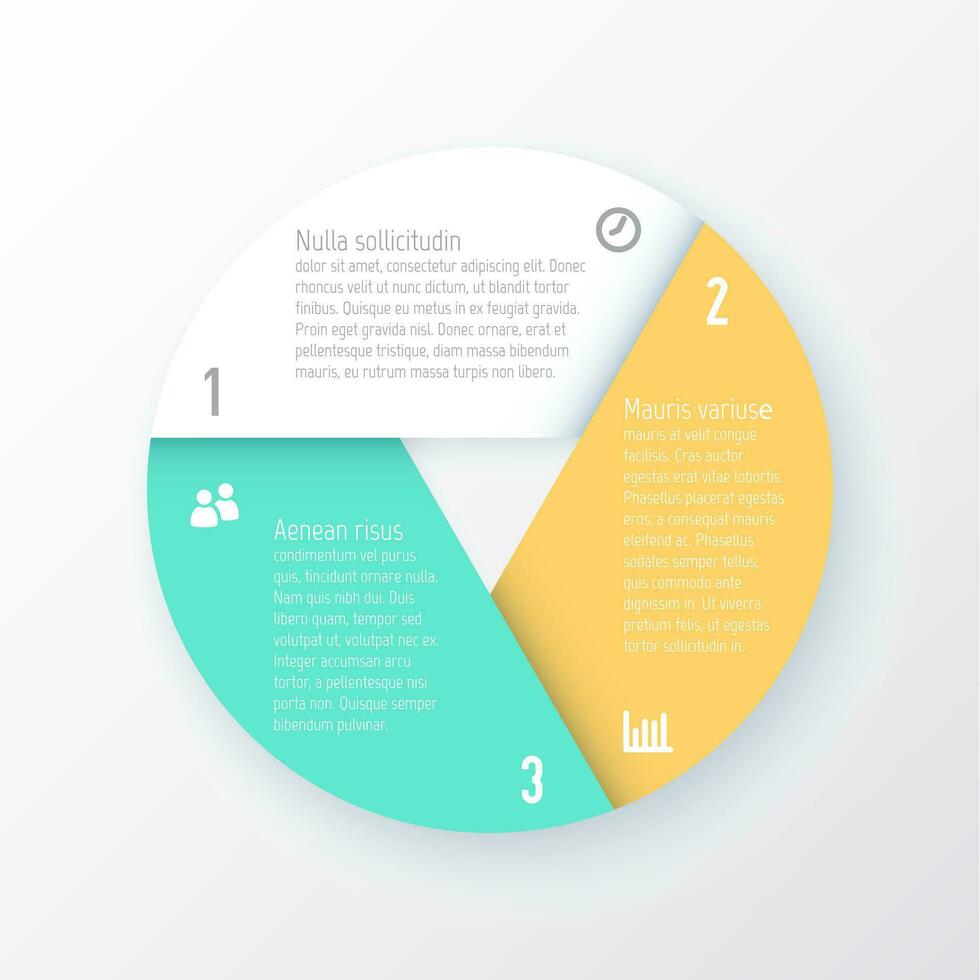 infographic diagramm pie chart template vector