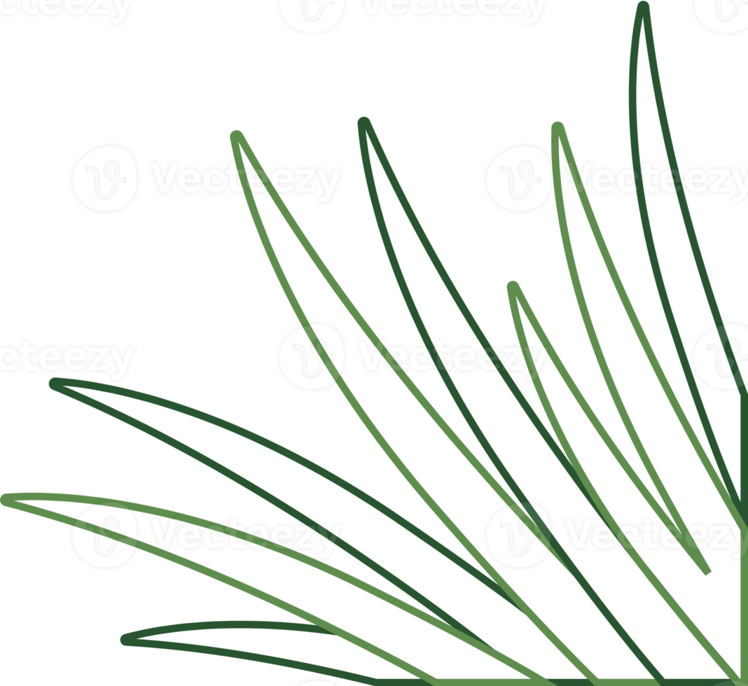 Hand Drawn Outline Plant Corner Border Transparent PNG
