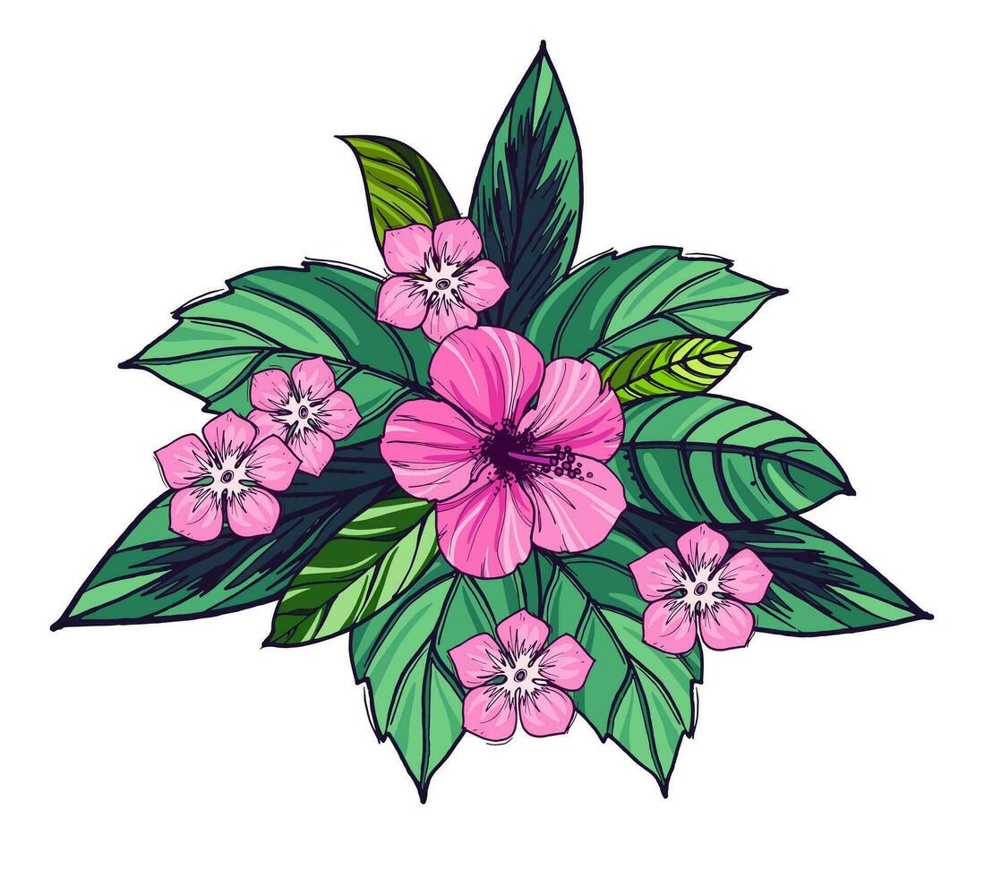 a bunch of pink hibiscus flowers and leaves on a white background vector