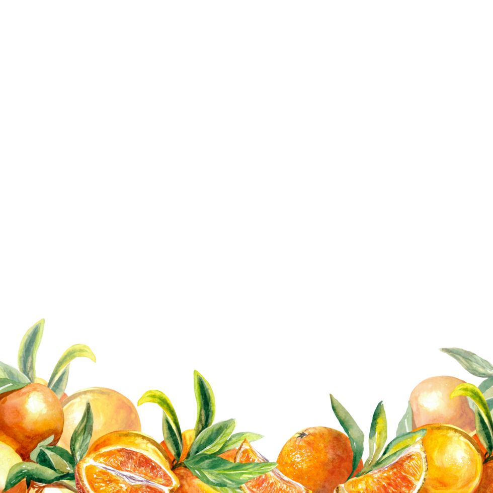 A square frame of bright orange fruit at the bottom. Watercolor illustration. Design element for menu, juice labels, food packaging, covers, greeting cards, invitations. png