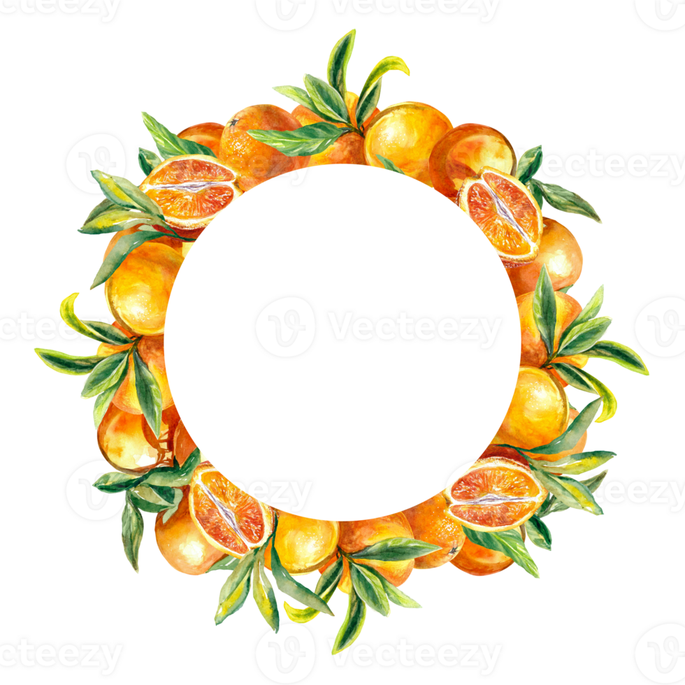 Round frame of bright orange fruits. Watercolor illustration of botanical wreath. Design element for juice labels, food packaging, covers, greeting cards. png
