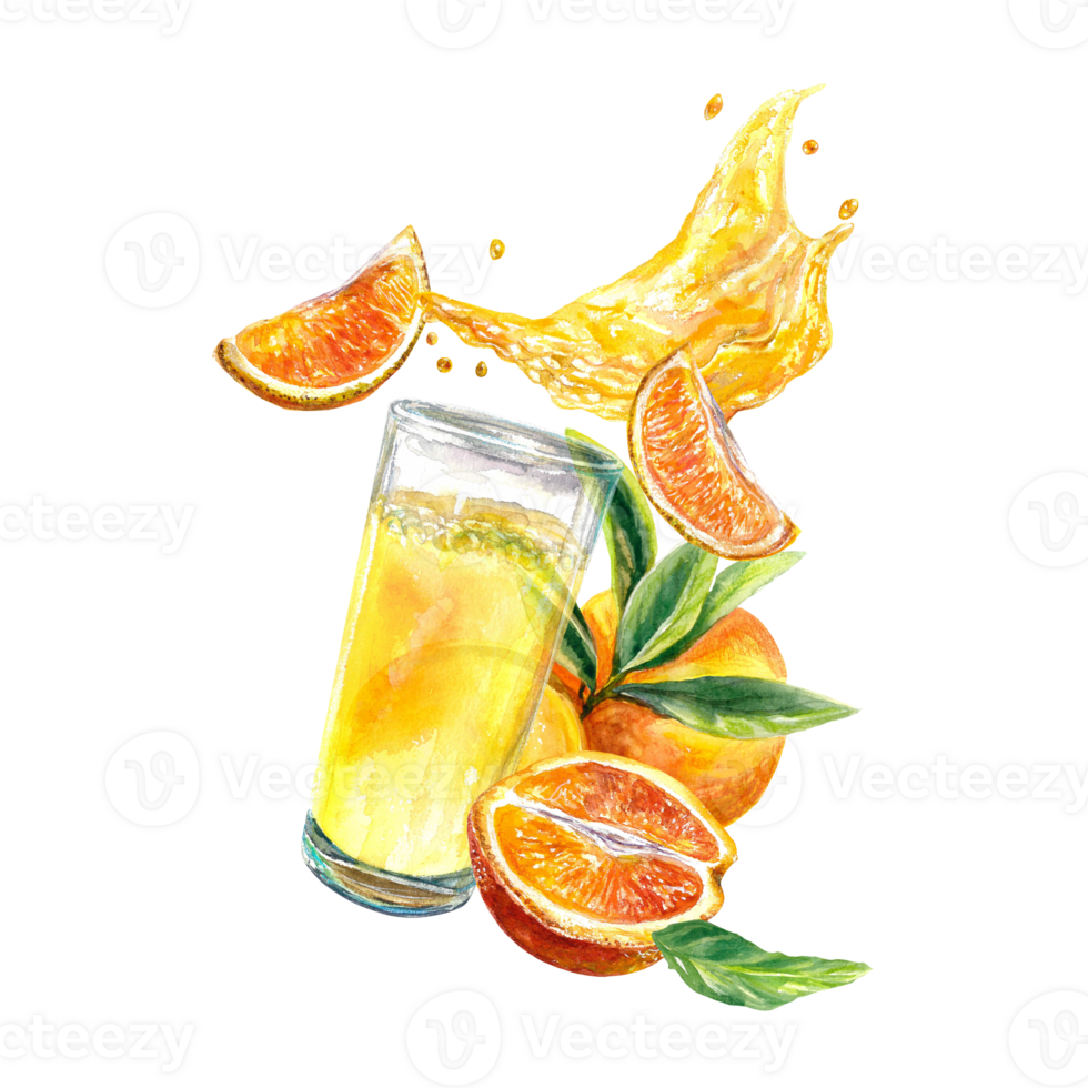 Glass of orange juice with splashes, oranges, orange slices. Watercolor illustration. Design element for cafe menu, juice labels, food packaging, covers. png