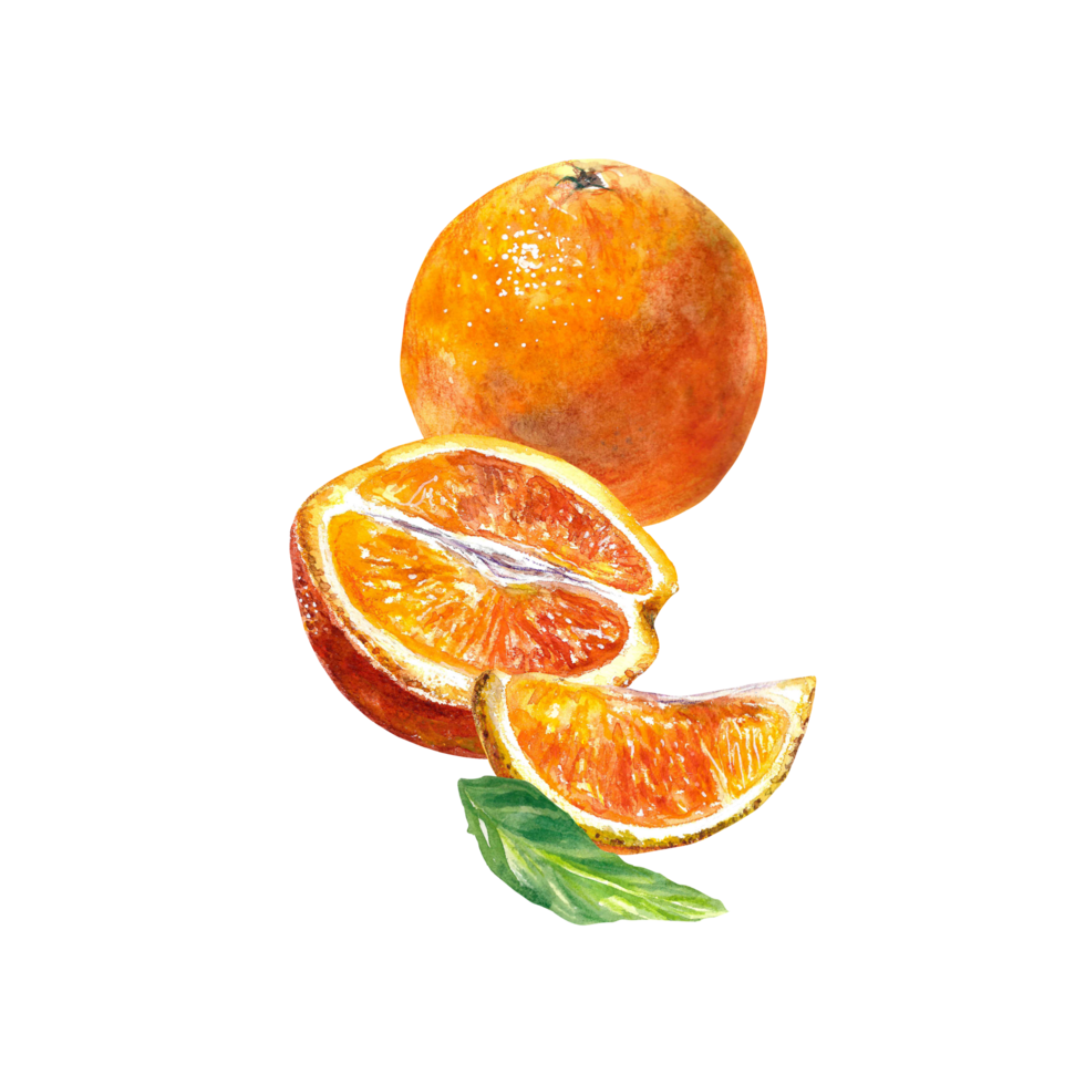 arancia frutta, totale e fette. acquerello illustrazione di agrume frutta. design elemento per bar menù, succo etichette, cibo confezione, copertine. png