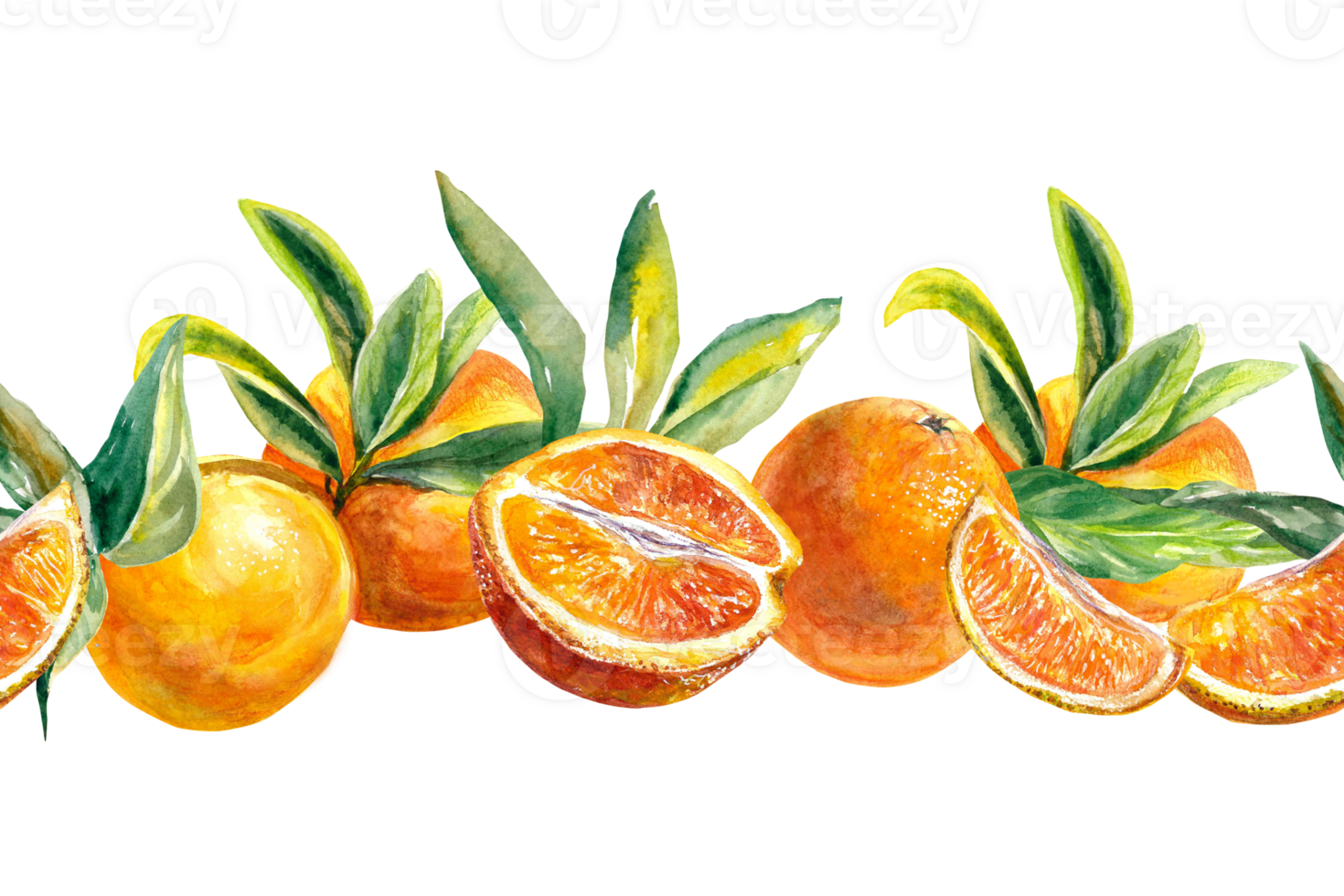 Seamless orange fruit border. Watercolor illustration. Design element for greeting cards, juice labels, food packaging, covers, invitations. png