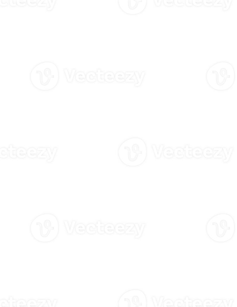 Snowflake frame border png