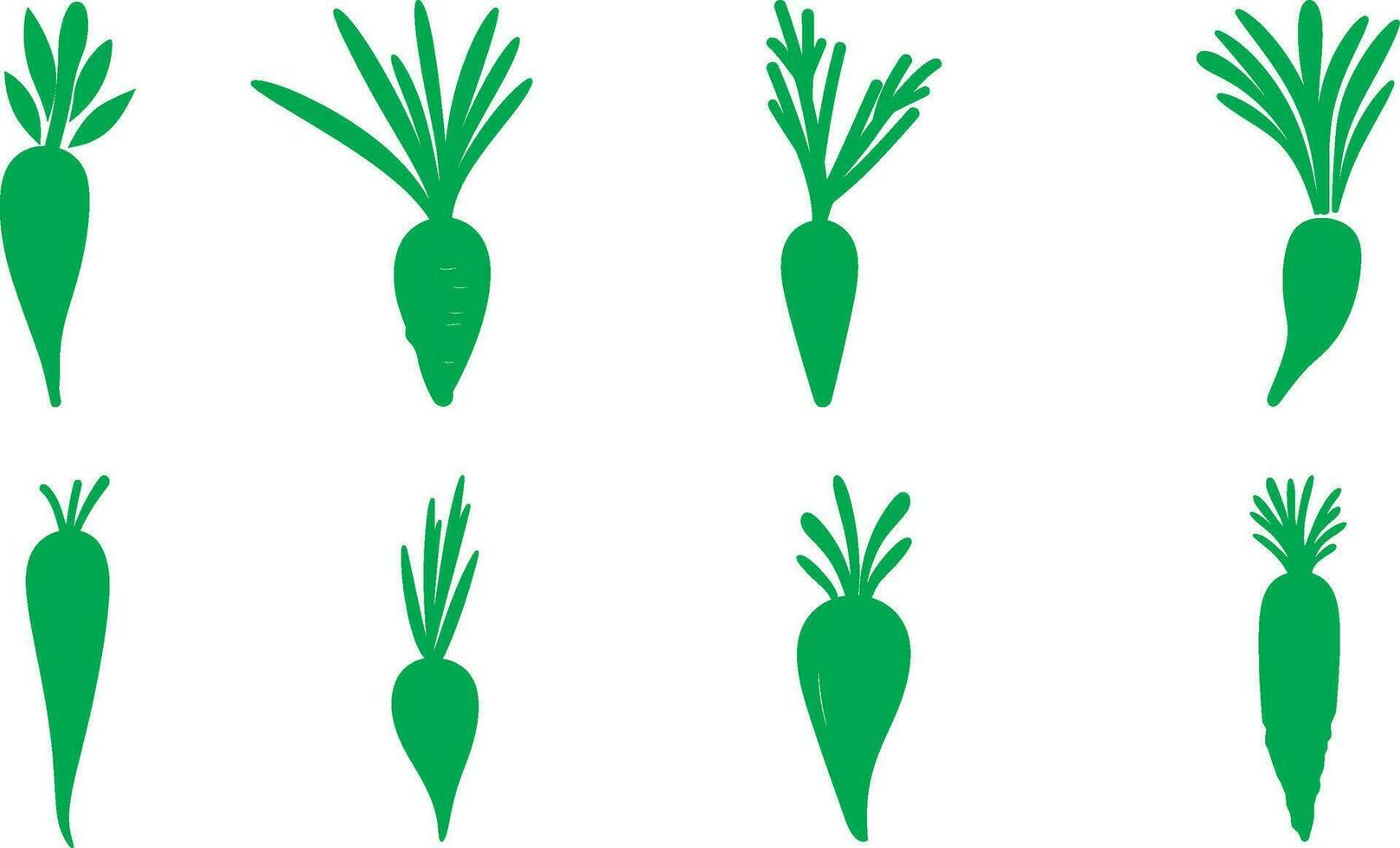 Vibrant Carrot Illustrations   Fresh and Colorful Vegetable Graphics vector