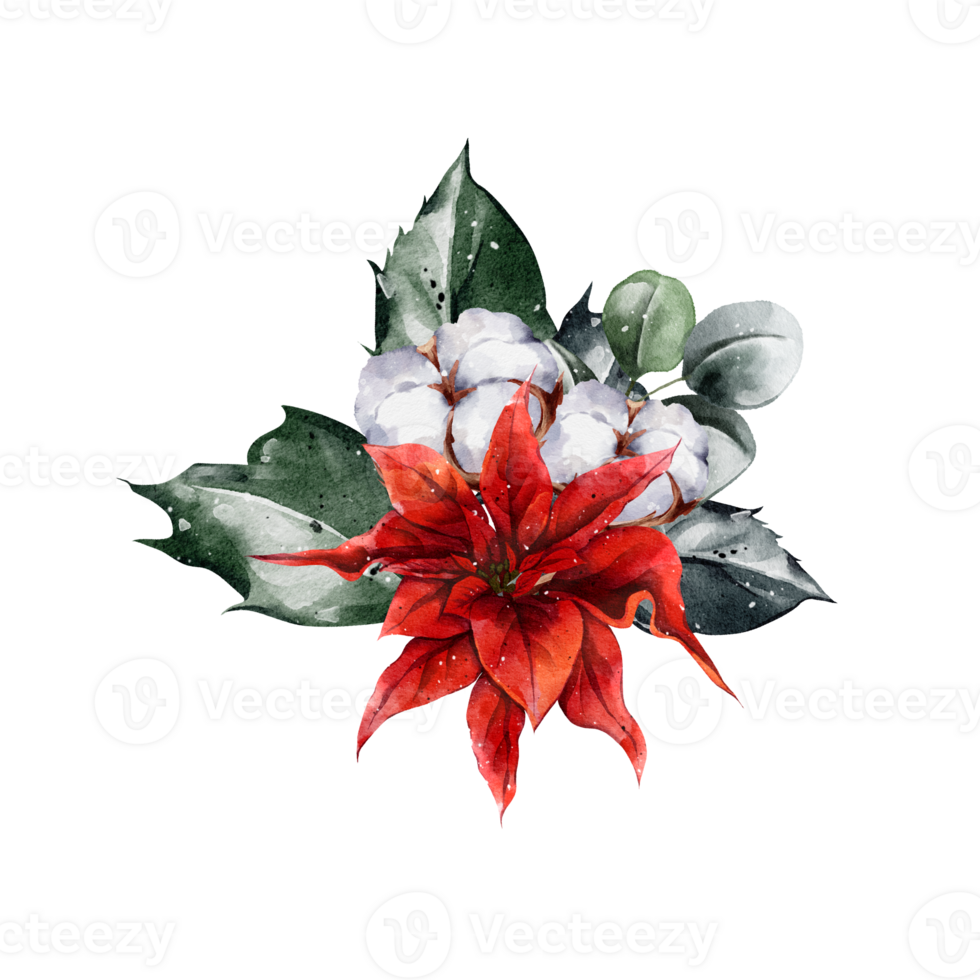 Watercolor Christmas Bouquet png