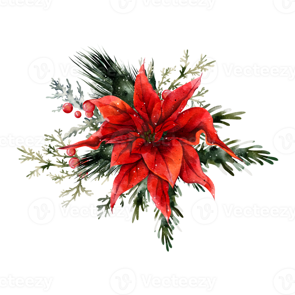 Watercolor Christmas Bouquet png