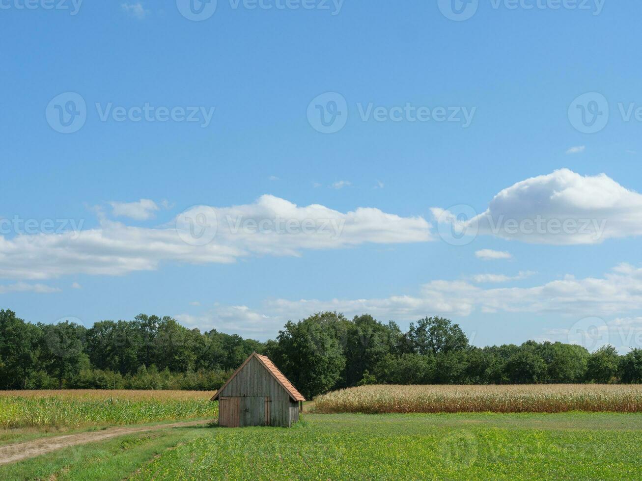 winterswijk in the netherlands photo