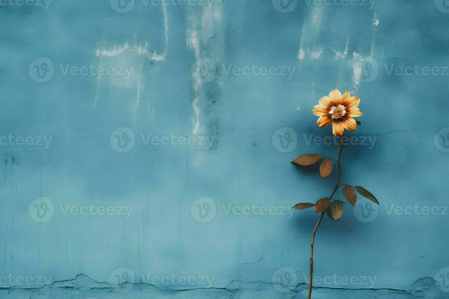 blue flat wall with flower on the side AI Generative photo