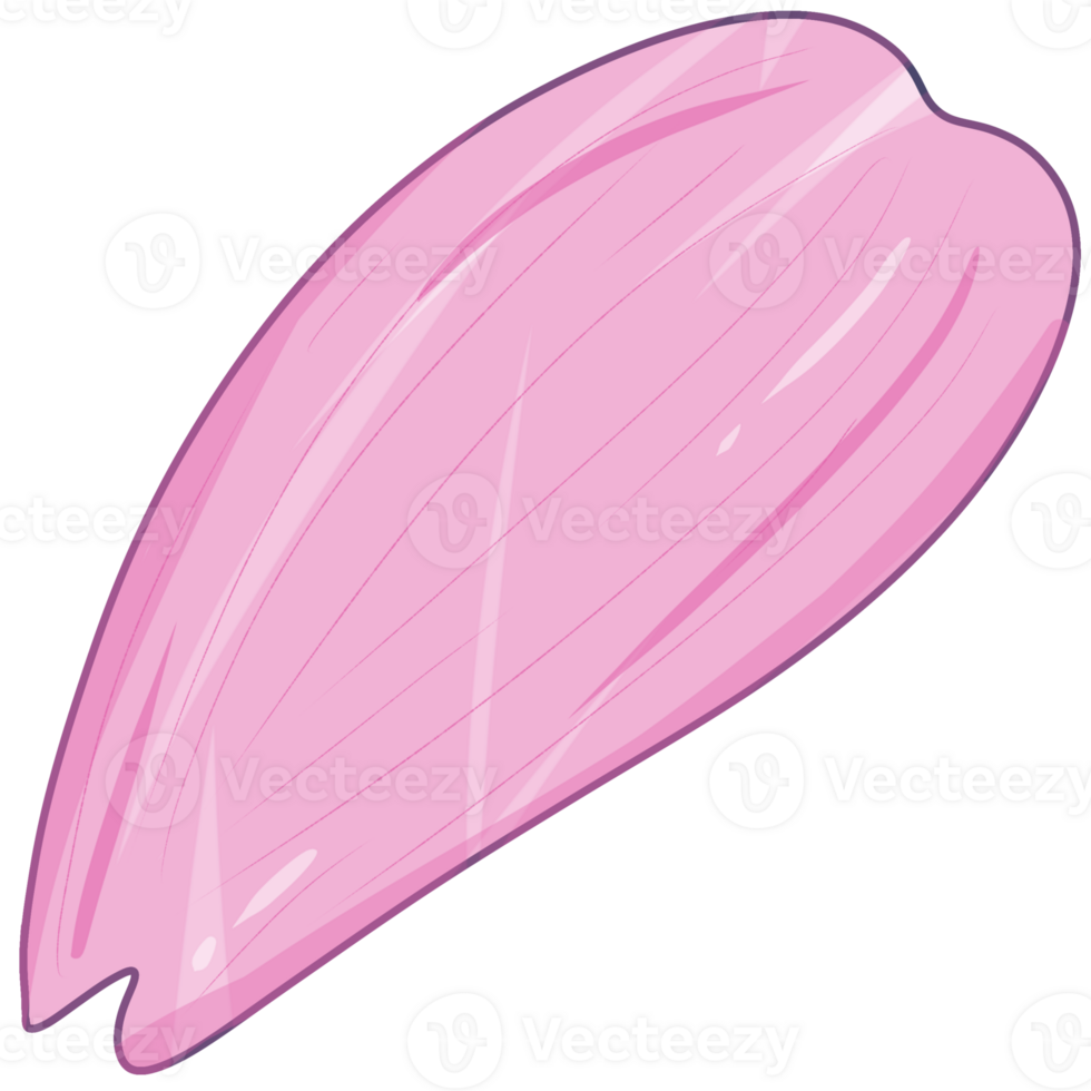 illustration of pink sakura flower png