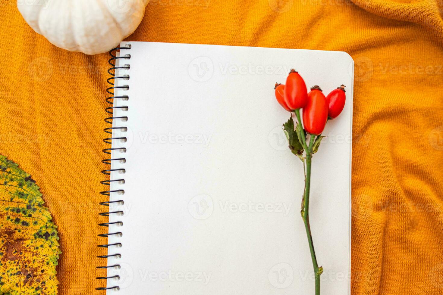 blanco cuaderno en primavera en textil amarillo antecedentes con otoño re cor foto