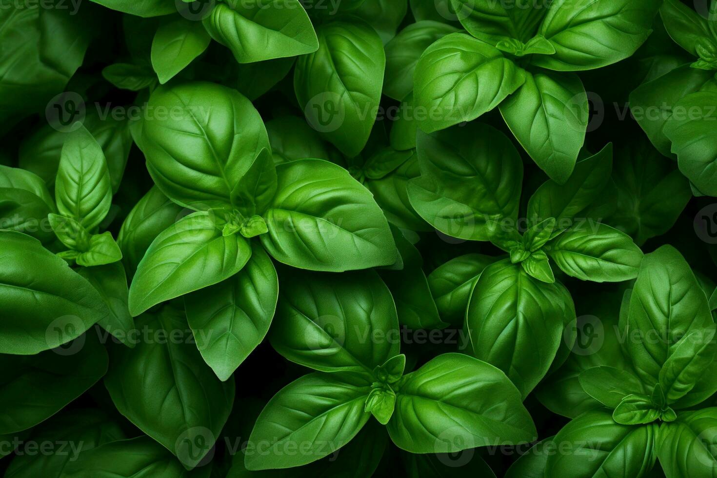 Textured Basil leaves background. Generate Ai photo