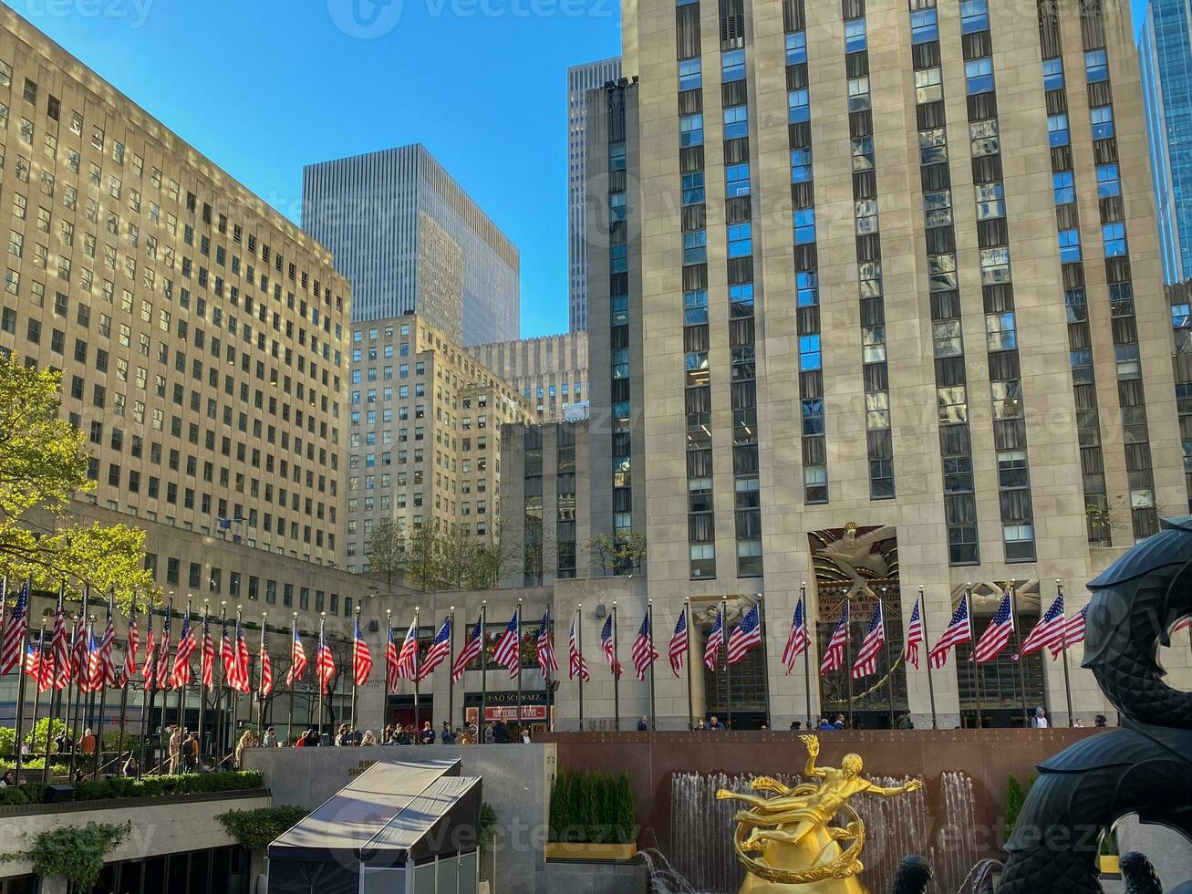 the city of new york photo